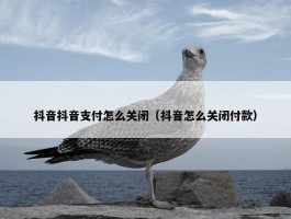 抖音抖音支付怎么关闭（抖音怎么关闭付款）