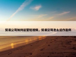 贸易公司如何运营短视频，贸易公司怎么运作盈利