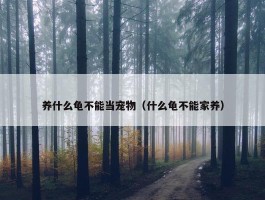 养什么龟不能当宠物（什么龟不能家养）