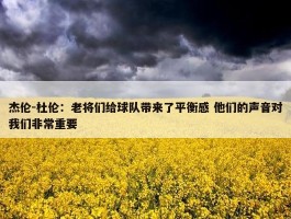 杰伦-杜伦：老将们给球队带来了平衡感 他们的声音对我们非常重要