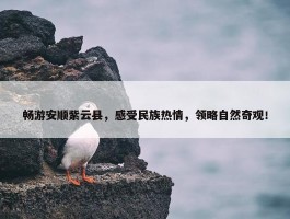 畅游安顺紫云县，感受民族热情，领略自然奇观！