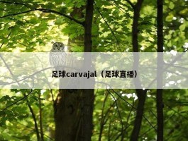 足球carvajal（足球直播）