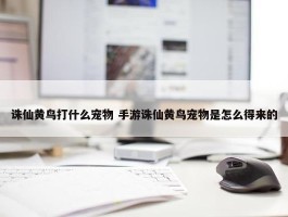 诛仙黄鸟打什么宠物 手游诛仙黄鸟宠物是怎么得来的