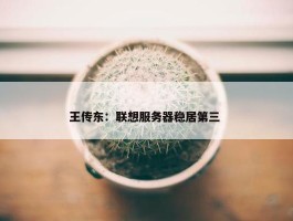 王传东：联想服务器稳居第三 