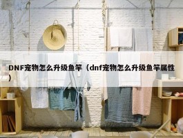 DNF宠物怎么升级鱼竿（dnf宠物怎么升级鱼竿属性）