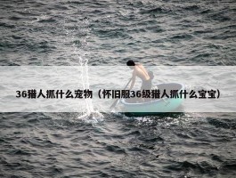 36猎人抓什么宠物（怀旧服36级猎人抓什么宝宝）