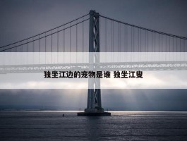 独坐江边的宠物是谁 独坐江叟