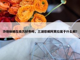 沙地蜥蜴在南方好养吗，三湖慈鲷阿芙拉属于什么鲷？