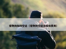 宠物狗如何空运（宠物狗空运流程和费用）