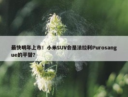 最快明年上市！小米SUV会是法拉利Purosangue的平替？