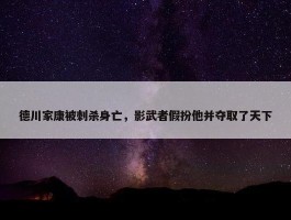 德川家康被刺杀身亡，影武者假扮他并夺取了天下