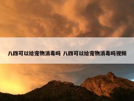 八四可以给宠物消毒吗 八四可以给宠物消毒吗视频