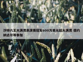 沙特六王大满贯表演赛冠军600万美元超大满贯 德约纳达尔等参加