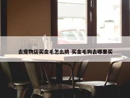 去宠物店买金毛怎么挑 买金毛狗去哪里买