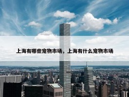 上海有哪些宠物市场，上海有什么宠物市场