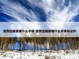 宠物出国需要什么手续 宠物出国需要什么手续和证件