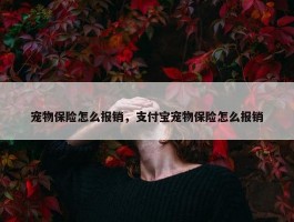 宠物保险怎么报销，支付宝宠物保险怎么报销