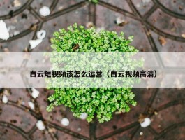 白云短视频该怎么运营（白云视频高清）