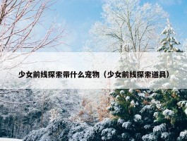 少女前线探索带什么宠物（少女前线探索道具）