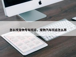 怎么找宠物专车托运，宠物汽车托运怎么弄