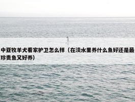 中亚牧羊犬看家护卫怎么样（在淡水里养什么鱼好还是最珍贵鱼又好养）