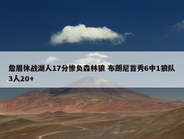 詹眉休战湖人17分惨负森林狼 布朗尼首秀6中1狼队3人20+