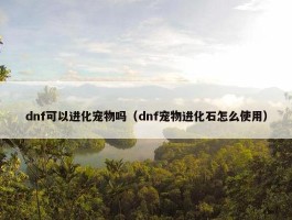 dnf可以进化宠物吗（dnf宠物进化石怎么使用）