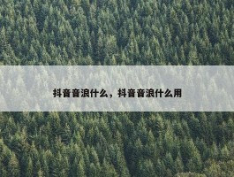 抖音音浪什么，抖音音浪什么用