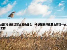 成都短视频运营主要做什么，成都短视频运营主要做什么工作