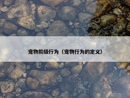 宠物阶级行为（宠物行为的定义）