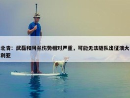 北青：武磊和阿兰伤势相对严重，可能无法随队出征澳大利亚