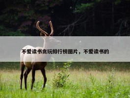 不爱读书贪玩排行榜图片，不爱读书的