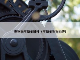 宠物狗不掉毛排行（不掉毛狗狗排行）