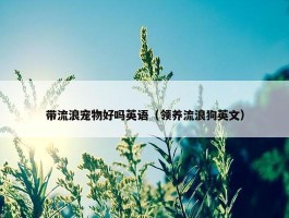 带流浪宠物好吗英语（领养流浪狗英文）