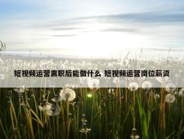 短视频运营离职后能做什么 短视频运营岗位薪资