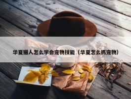 华夏猎人怎么学会宠物技能（华夏怎么抓宠物）