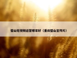 璧山短视频运营哪家好（重庆璧山宣传片）