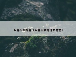 五音不玄抖音（五音不会是什么意思）