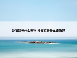 沙石缸养什么宠物 沙石缸养什么宠物好