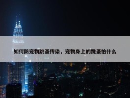 如何防宠物跳蚤传染，宠物身上的跳蚤怕什么