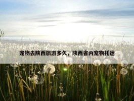 宠物去陕西旅游多久，陕西省内宠物托运