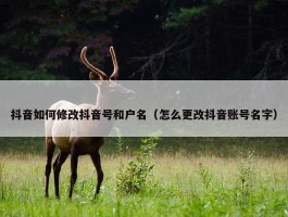 抖音如何修改抖音号和户名（怎么更改抖音账号名字）