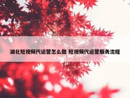 湖北短视频代运营怎么做 短视频代运营服务流程