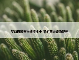 梦幻西游宠物速度多少 梦幻西游宠物配速