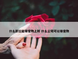 什么职位能带宠物上班 什么公司可以带宠物