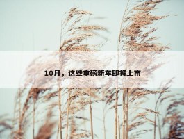 10月，这些重磅新车即将上市