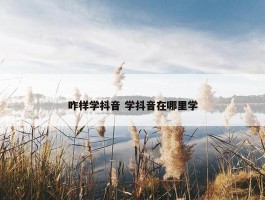 咋样学抖音 学抖音在哪里学