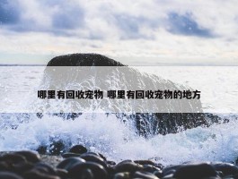 哪里有回收宠物 哪里有回收宠物的地方