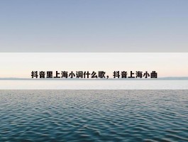 抖音里上海小调什么歌，抖音上海小曲