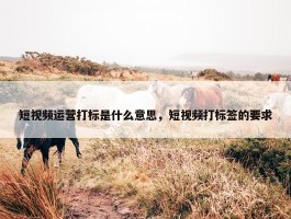 短视频运营打标是什么意思，短视频打标签的要求